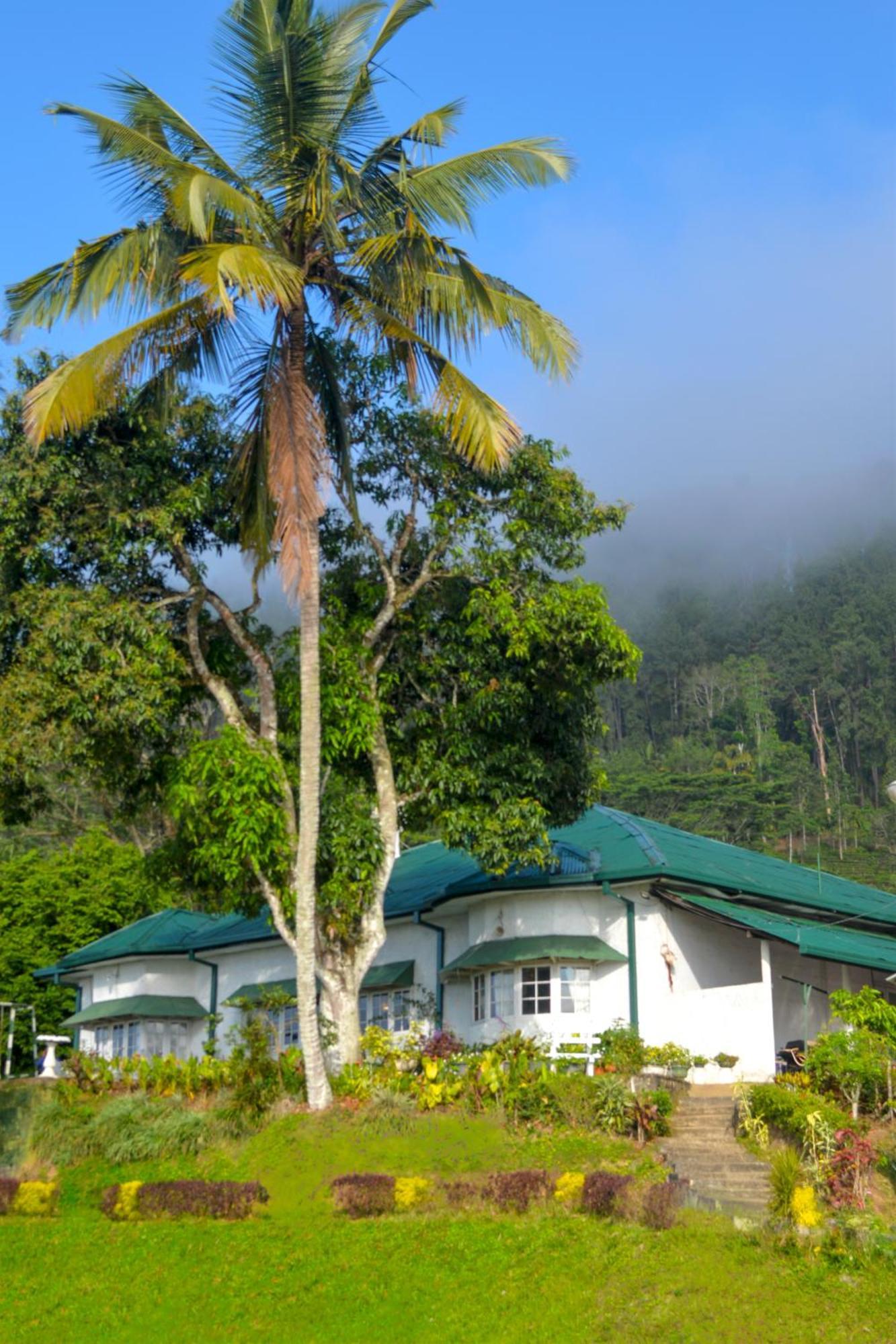 Hatale Tea Estate Bungalow Madulkele Exteriör bild