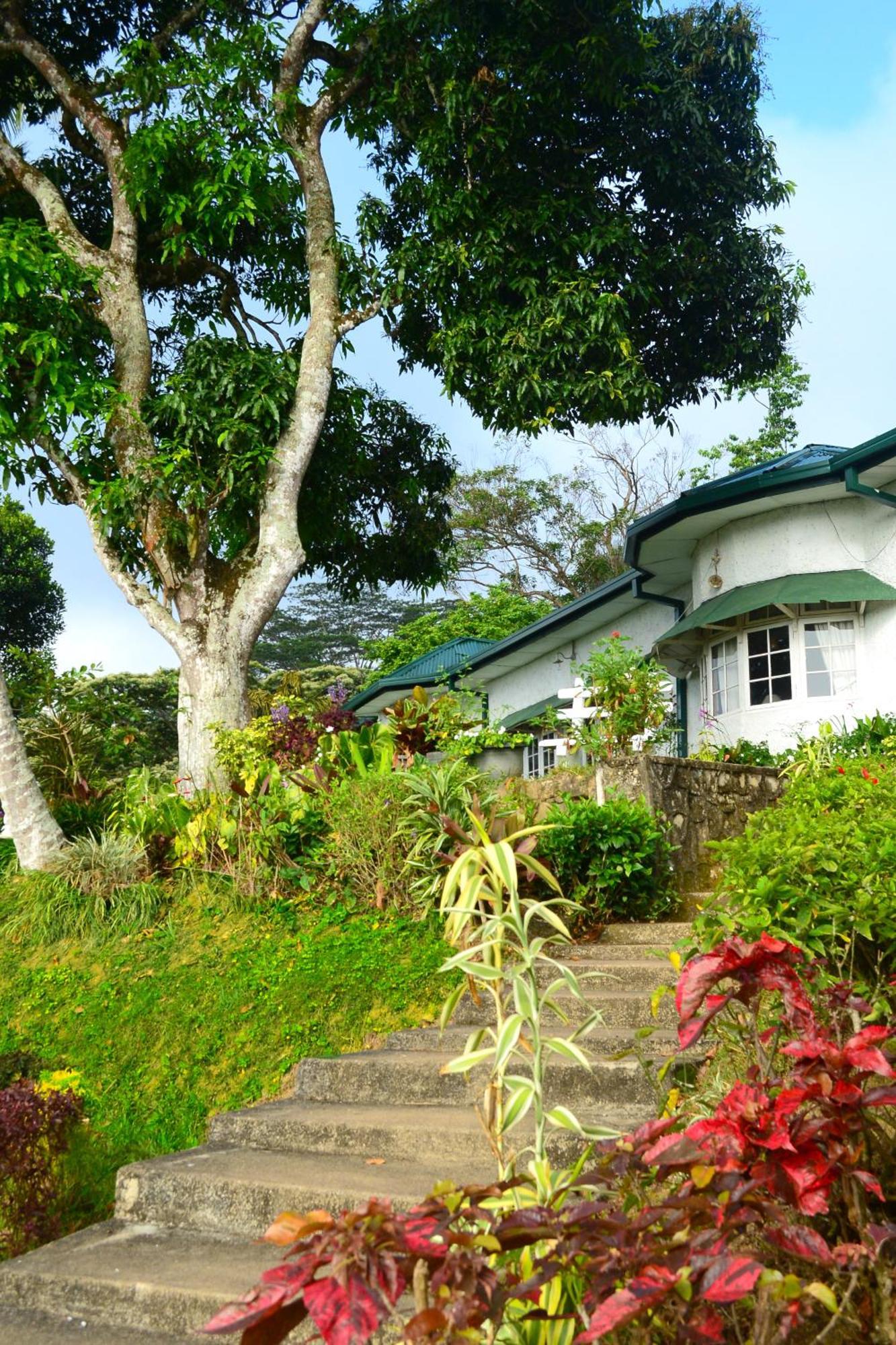Hatale Tea Estate Bungalow Madulkele Exteriör bild