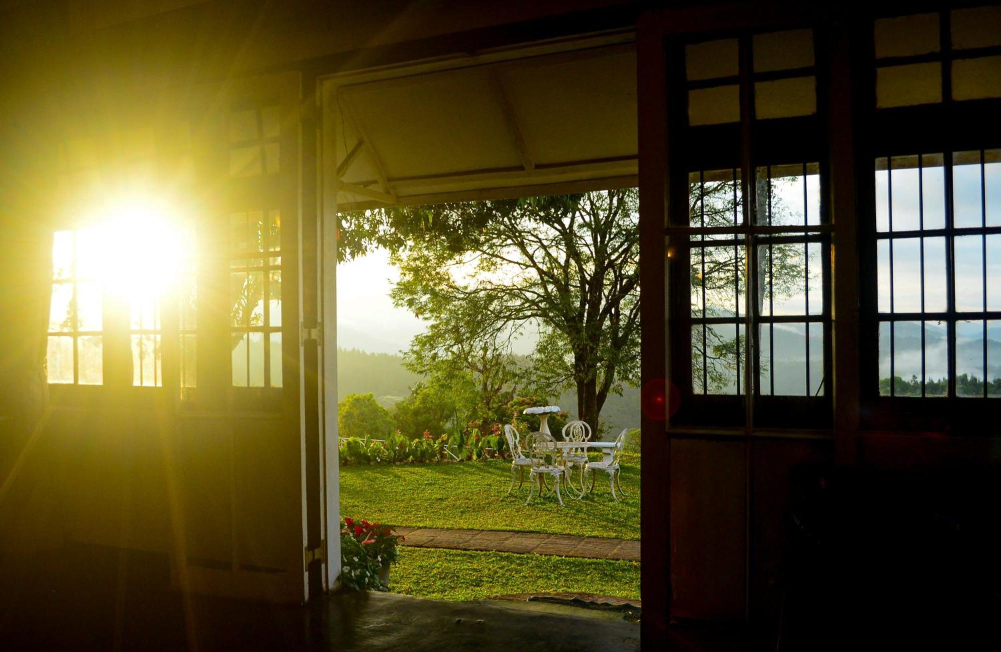 Hatale Tea Estate Bungalow Madulkele Exteriör bild